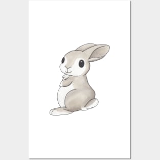 Chubbie Bunny Posters and Art